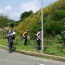 나원1리 이미지