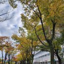 뉴욕미래치과의원 이미지