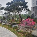 미사경희약국 이미지