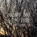 2026年 3月 4주차 日常, 雪上加霜