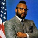 스타일펫 이미지