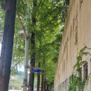 구산초등학교구서분교장 이미지