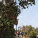 간세다리 이미지