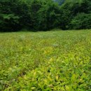 종근농장 이미지