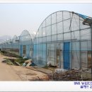 춘양농장 이미지