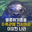 이상한나라의수족관