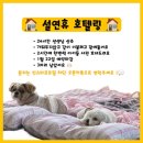 댕그랑댕 이미지
