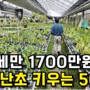 이원농장