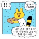 캐일리 이미지