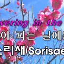 꽃이 피는 날에는 (Flowering in the day) 소리새(Sorisae) 이미지