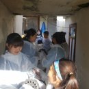 천하효태권도장 이미지