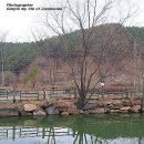 쇠꼴마을 이미지