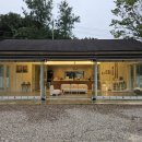 하남강아지 | 하남강아지분양 고민하다가 직접 다녀온 리얼 후기 🐶