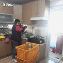 구산지 | 경주이사 과정에서 자주 발생하는 문제와 해결책 총정리