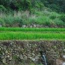 구들장식당 이미지