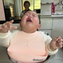 다다모모 | 9개월 아기 발달 특징 총정리: 키·몸무게·이유식 양+성장 기록