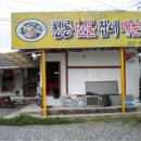 50사단 정문 앞 이미지