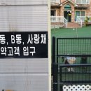 안면독스애견펜션 이미지