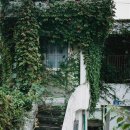 노고록이 이미지