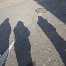 마산합포구 ⓐ-14 | 마산 오동동 카페 : 두바이쫀득김밥이 있는 '모도' 두...쿠키 내돈내산 솔직후기 (feat. 창원 두쫀쿠...