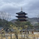 [경상도] 김천밀양여행 | 이른 봄여행(+ 삼문수변공원 벚꽃, 아리나호텔) ෆ˙ᵕ˙ෆ