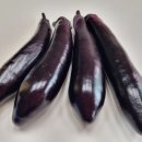 국민농장 이미지