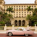 my drink museum 이미지