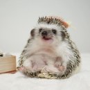 한빛안과의원 이미지