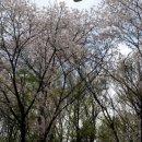 도구머리공원1-1 이미지