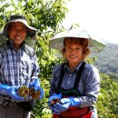 공주농장 이미지