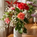 마음치유 생화 플로리스트 | 생화꽃다발 꽃정기구독으로 여자친구 선물해본 후기