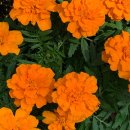 가능동주민센터(후문) 이미지