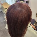 미쁜살롱 이미지