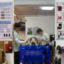 찬쓰 | 안양 펌 잘하는 집 &#39;안다미로헤어 안양점&#39; 후기