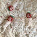 이레과일 이미지