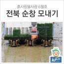 미래모가발 이미지