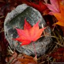 김세일치과의원 이미지