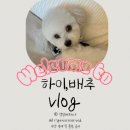 청담이상에프엔비 | 미사역 맛집 | 맛있고, 깔끔한 든든한 한 끼를 먹고 싶다면? '곰작골나주곰탕 미사역점'