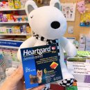 3층하나약국 이미지