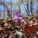 남도삼백리길(10코스) 이미지