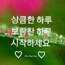 송가네농장 이미지