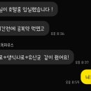 세이프독하우스 이미지