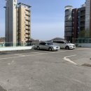 골든힐(Golden Hill) 이미지