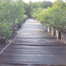 매향농장 이미지