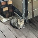 바오고스 | W10.<중간점검> 원주 결혼식장, 드메 토탈샵 비교하기! &amp; 원주 결혼 장단점