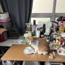 요가(야)A 이미지