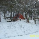 용현자연휴양림 야영장 이미지