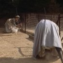 테스 (Tess) 이미지