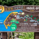 방천1리 이미지