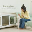 포유헬스케어 이미지